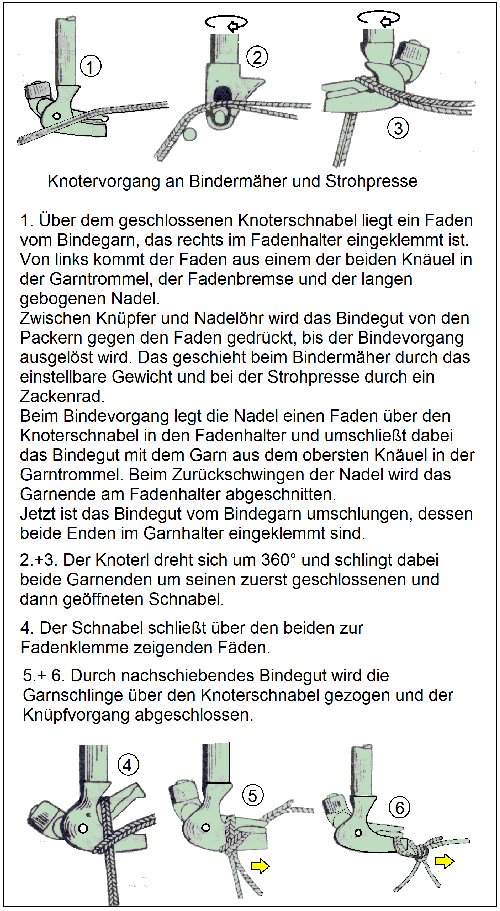 Knotervorgang